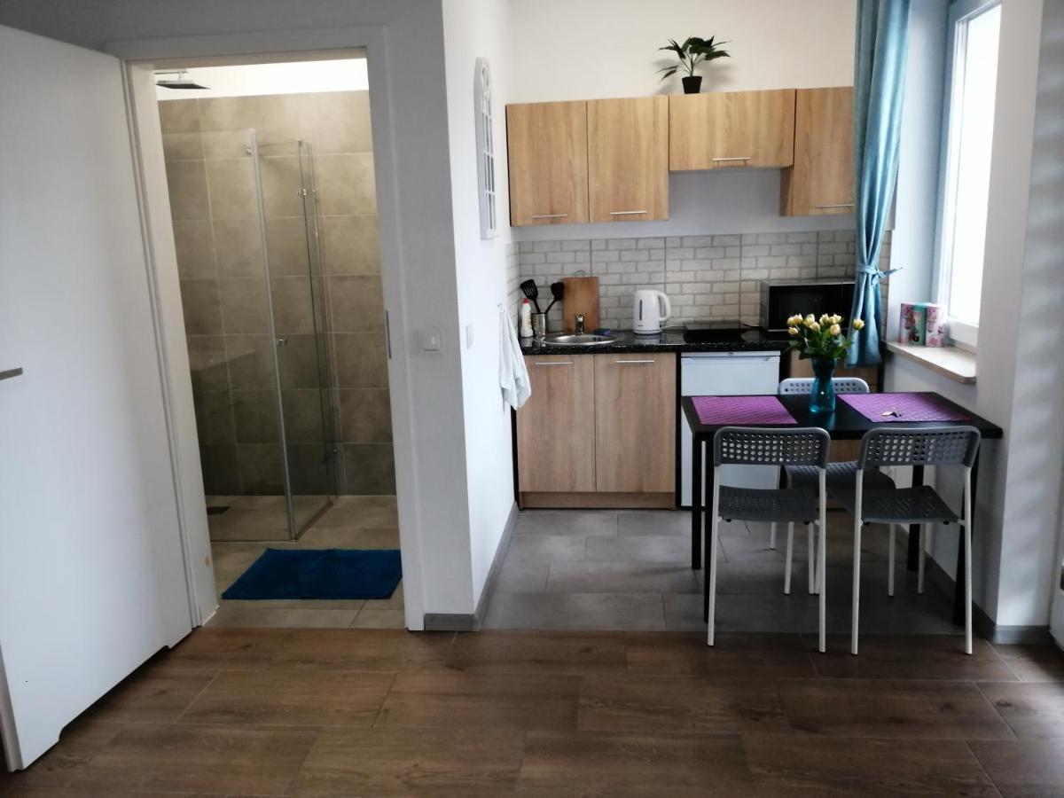 Pokoje - Studio Gliwice I Przy Onkologii 외부 사진